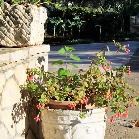 With A Parking Space Lumbarda, Korcula - 9298 * Lumbarda