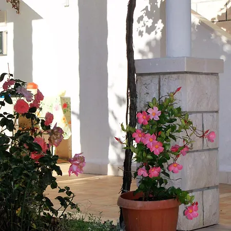 With A Parking Space Lumbarda, Korcula - 9298