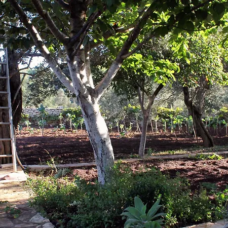 With A Parking Space Lumbarda, Korcula - 9298 Appartement *