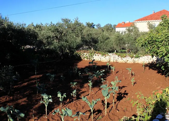 Appartement With A Parking Space Lumbarda, Korcula - 9298 *