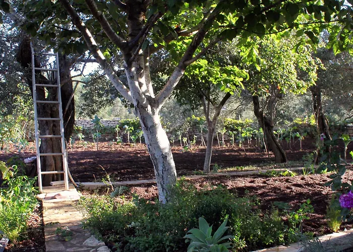 With A Parking Space Lumbarda, Korcula - 9298 Appartement *