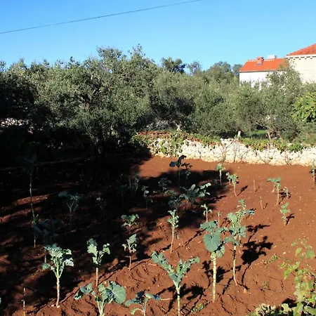 Apartamento With A Parking Space Lumbarda, Korcula - 9298 *